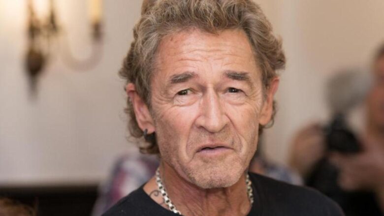 Peter Maffay Fortune